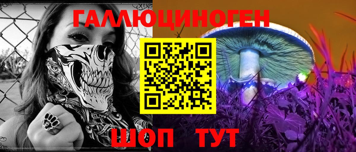 Галлюциногенные грибы Psilocybe Жуковский