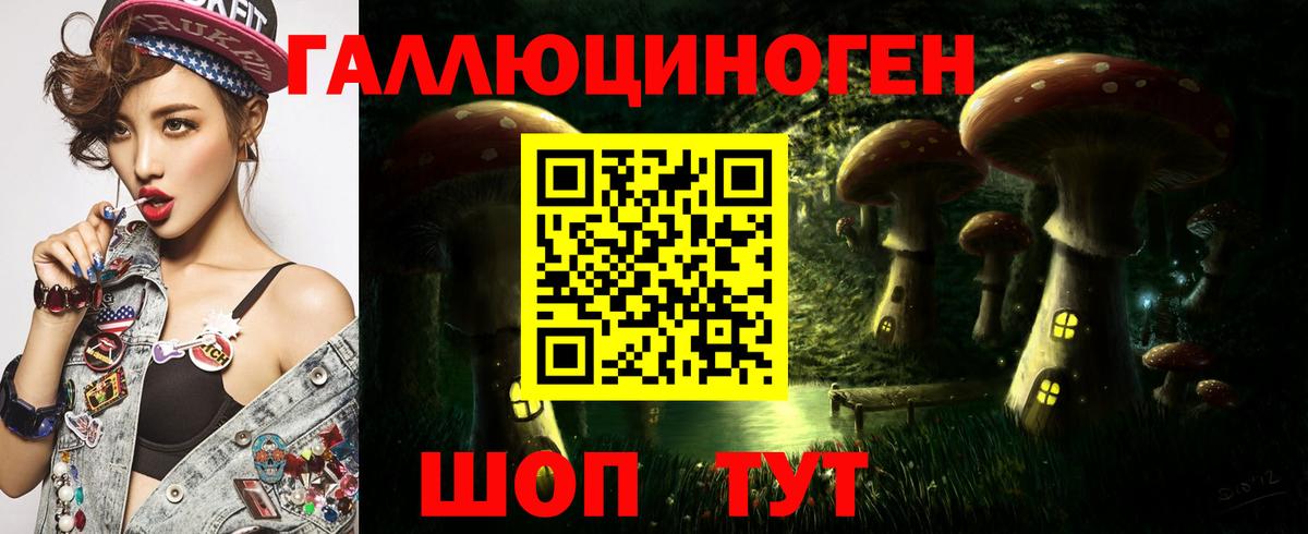 Жуковский  Псилоцибиновые грибы MAGIC MUSHROOMS  Вход с VPN 